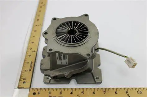 100288517 Lochinvar & A.O. Smith Flap Valve Assembly 1