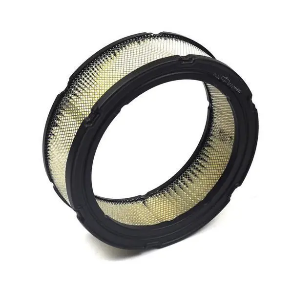 Briggs & Stratton 394018S Air Filter 1