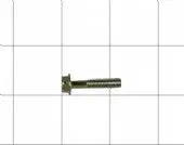 Briggs & Stratton 806421 Screw 1