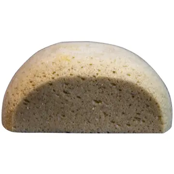 Hydra Pro Synthetic Sponge 1